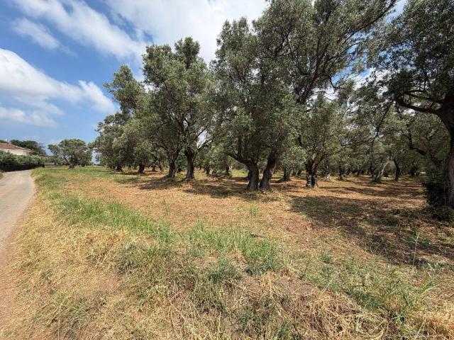 Terreno in vendita a Calabria, Catanzaro