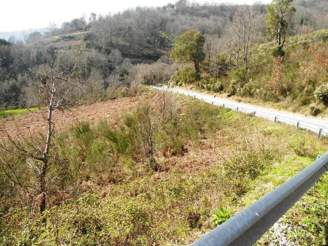 Terreno in vendita a Calabria, Catanzaro