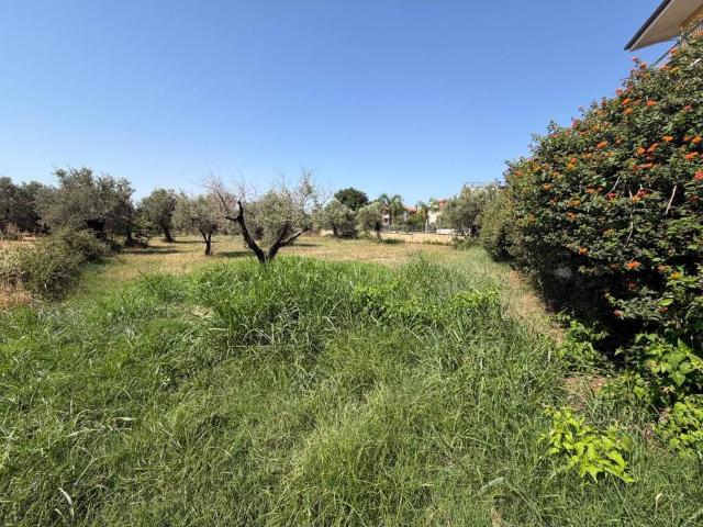 Terreno in vendita a Rione San Nicola, Calabria