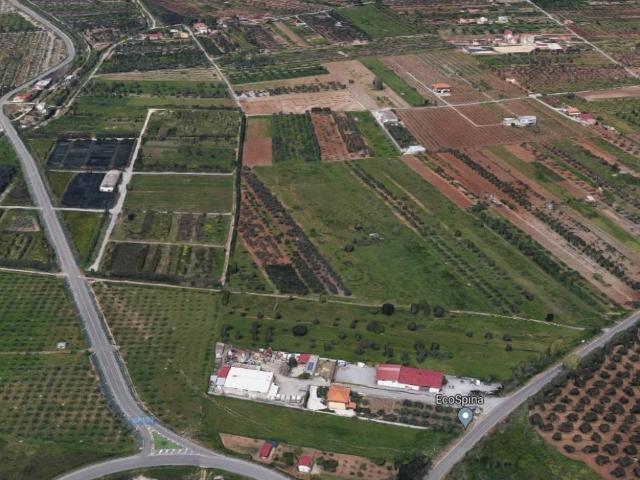 Terreno in vendita a Rotoli, Calabria