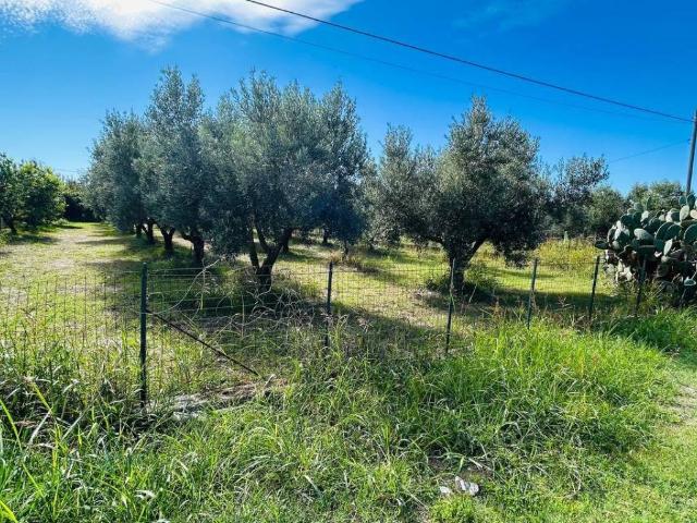 Terreno in vendita a Marinella, Lamezia Terme