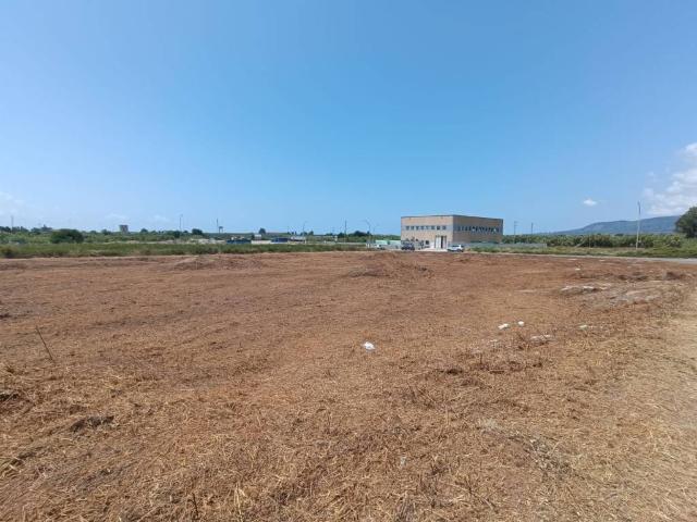 Terreno in vendita a Rotoli, Calabria