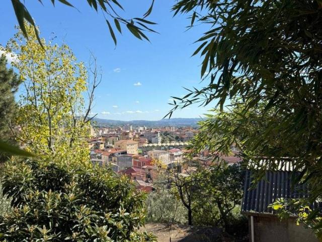 Terreno in vendita a Calabria, Catanzaro