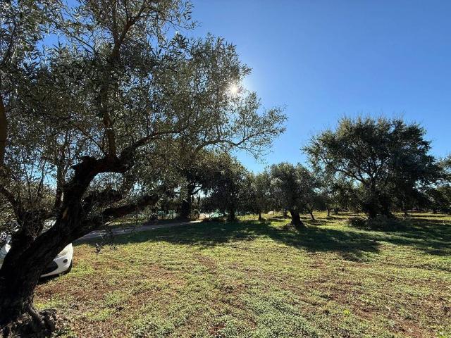 Terreno in vendita a Sant'Eufemia Lamezia, Calabria