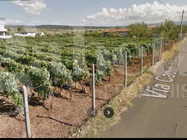 Terreno in vendita a Calabria, Catanzaro