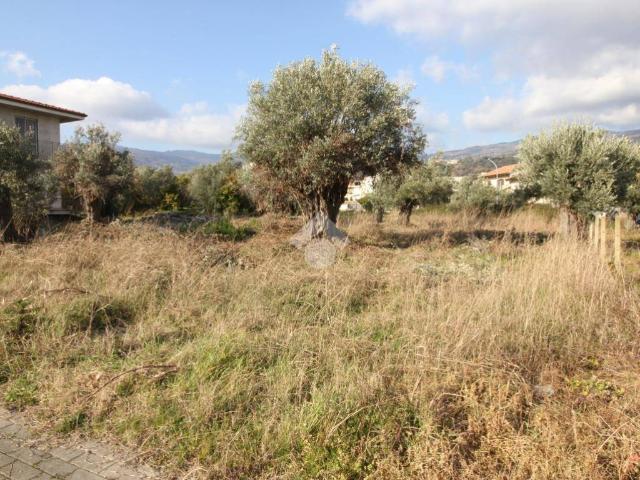 Terreno in vendita a Calabria, Catanzaro