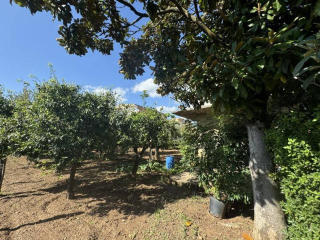 Terreno in vendita a Calabria, Catanzaro