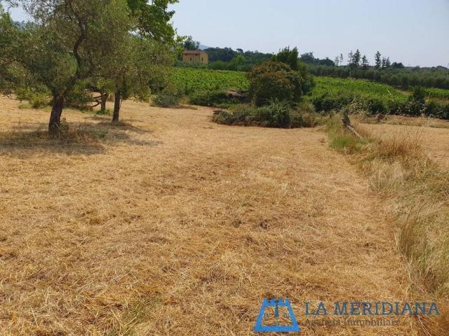 Terreno in vendita a Lamporecchio, Toscana