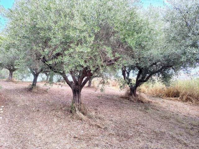 Terreno in vendita a Lanciano, Abruzzo