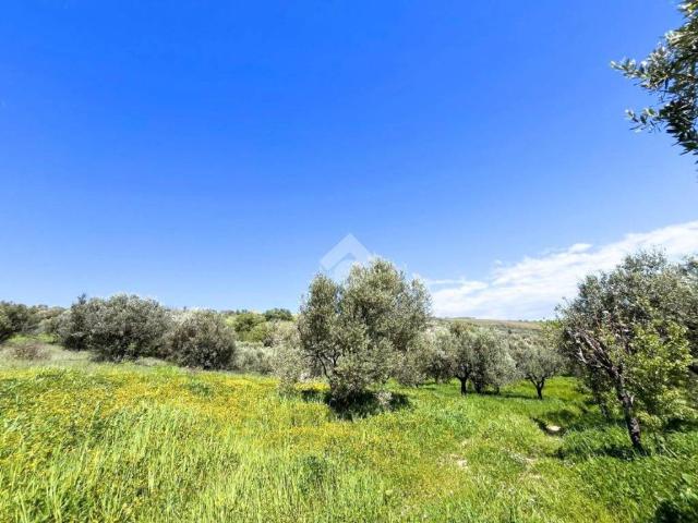 Terreno in vendita a Lanciano, Abruzzo