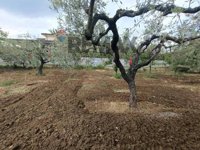 Terreno in vendita a Villa Stanazzo, Lanciano