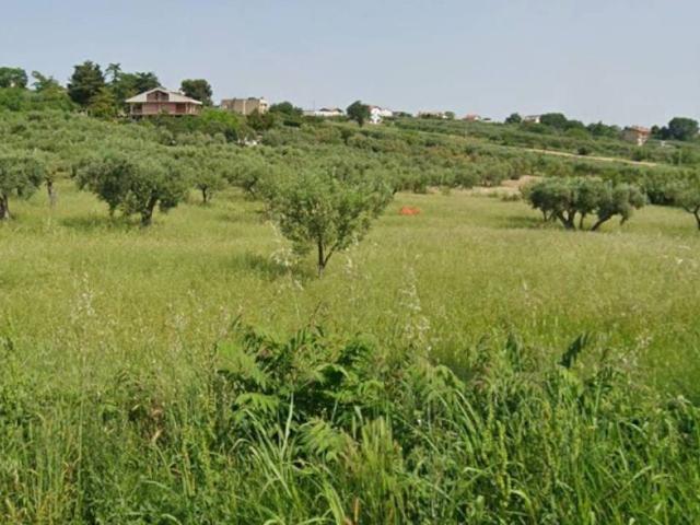 Terreno in vendita a Iconicella, Lanciano