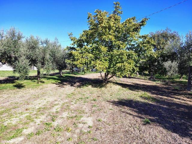 Terreno in vendita a Lanciano, Abruzzo