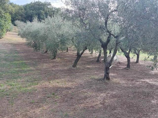 Terreno in vendita a Treglio, Abruzzo