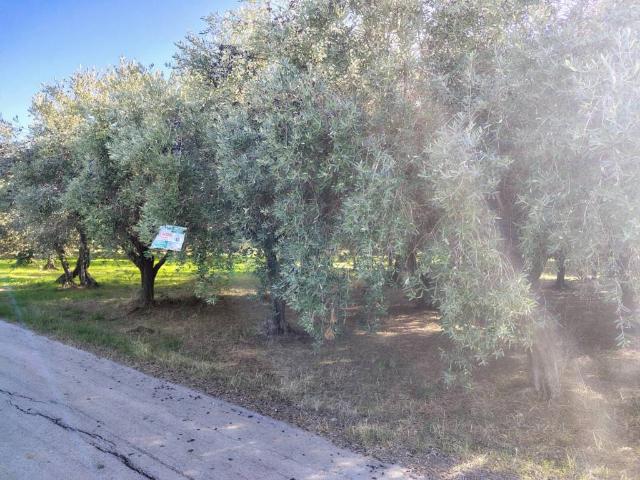 Terreno in vendita a Lanciano, Abruzzo