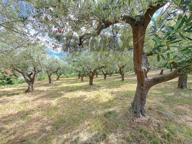 Terreno in vendita a Marcianese, Lanciano
