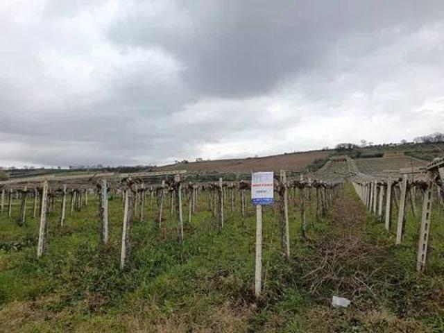 Terreno in vendita a Lanciano, Abruzzo
