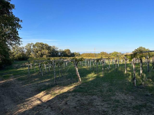 Terreno in vendita a Villa Martelli, Lanciano
