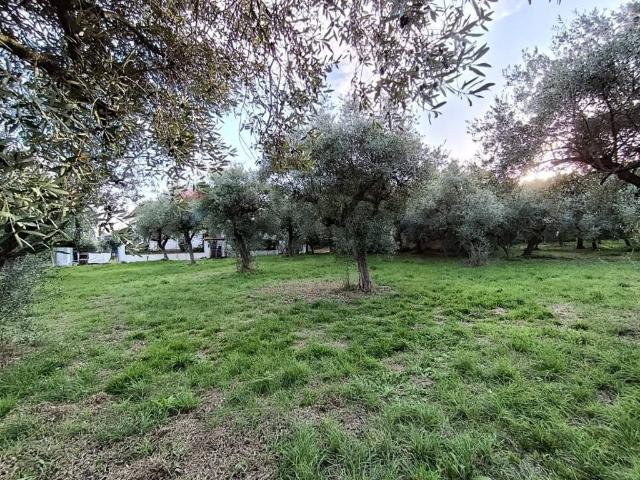 Terreno in vendita a Sant'Antonio, Lanciano
