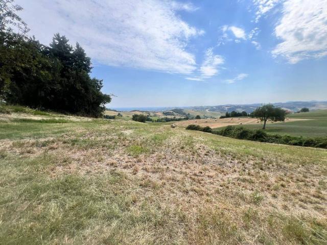 Terreno in vendita a Langhirano, Reggio Emilia