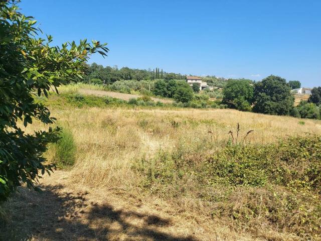 Terreno in vendita a Roma Capitale, Lazio