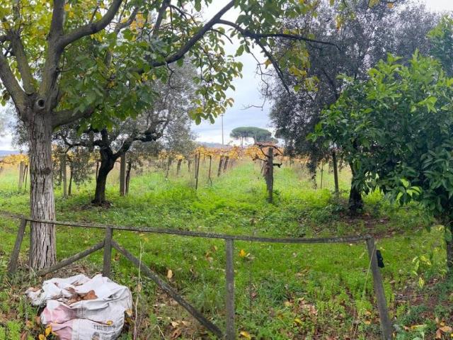 Terreno in vendita a Roma Capitale, Lazio