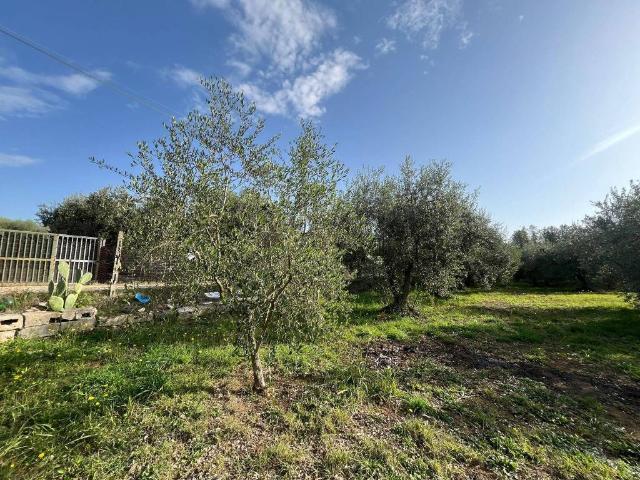 Terreno in vendita a Roma Capitale, Lazio