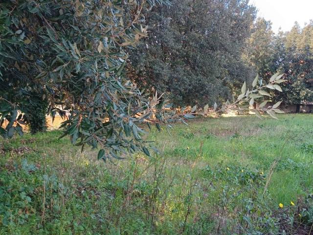 Terreno in vendita a Roma Capitale, Lazio