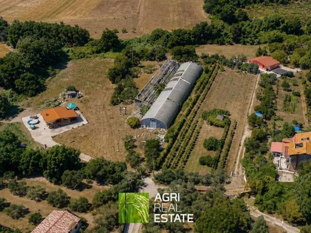 Terreno in vendita a Roma Capitale, Lazio