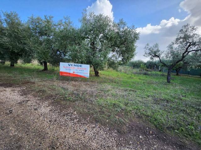Terreno in vendita a Roma Capitale, Lazio