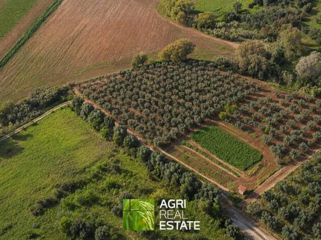 Terreno in vendita a Roma Capitale, Lazio