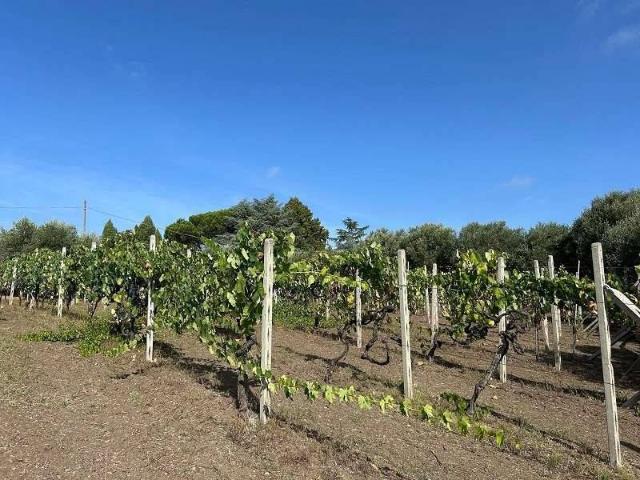 Terreno in vendita a Pietrara, Roma Capitale