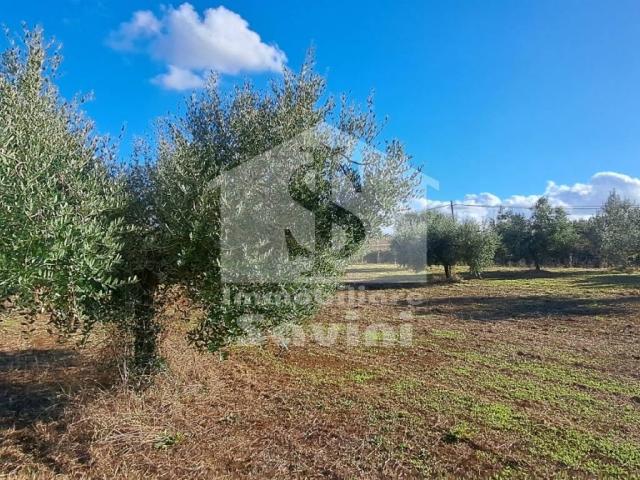 Terreno in vendita a Pietrara, Roma Capitale