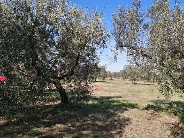 Terreno in vendita a Malcavallo, Roma Capitale