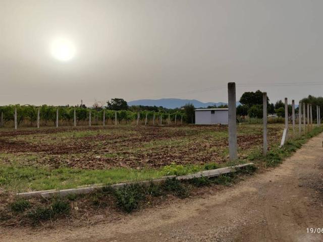 Terreno in vendita a Roma Capitale, Lazio
