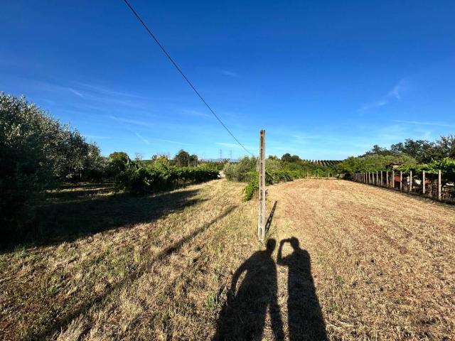 Terreno in vendita a Roma Capitale, Lazio