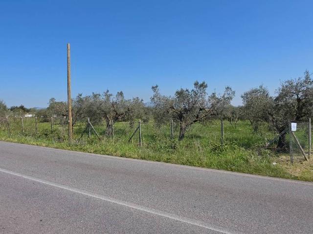 Terreno in vendita a Roma Capitale, Lazio