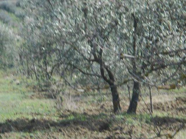 Terreno in vendita a Lapio, Campania