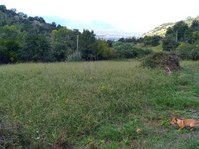 Terreno in vendita a Calabria, Cosenza