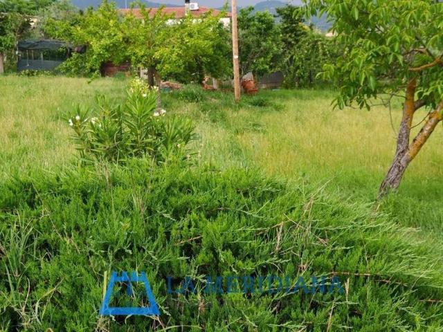 Terreno in vendita a Larciano, Castelmartini
