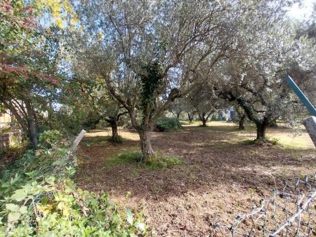 Terreno in vendita a Valle Mazzone, Roma Capitale