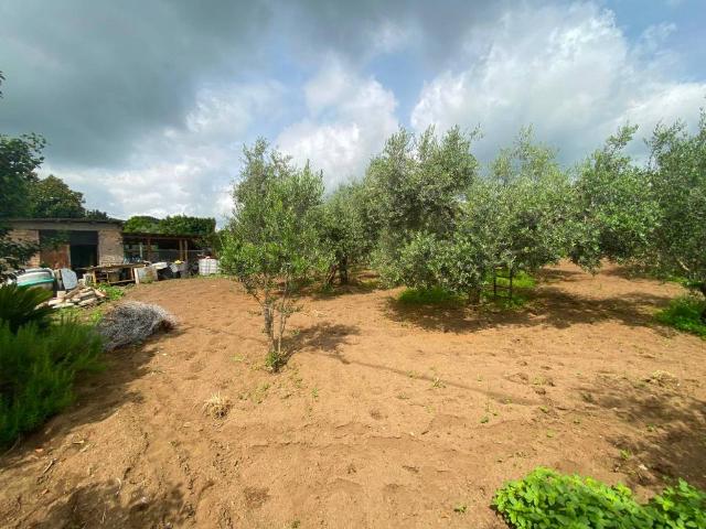 Terreno in vendita a Colle Angeloni, Roma Capitale