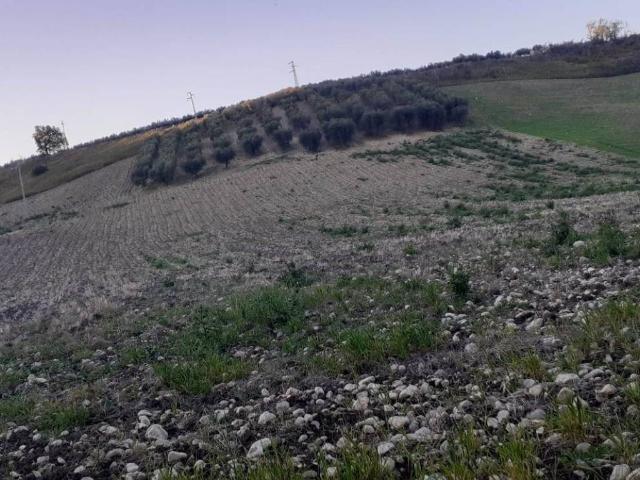 Terreno in vendita a Larino, Molise