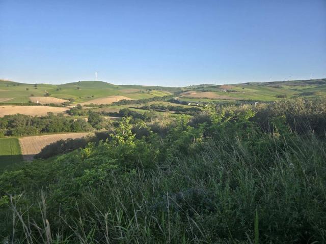 Terreno in vendita a Larino, Molise