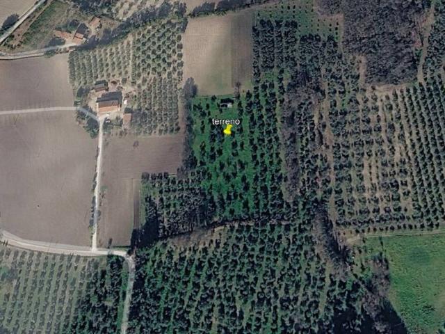 Terreno in vendita a Larino, Campobasso