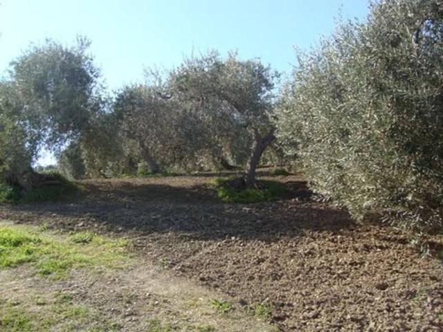 Terreno in vendita a Lascari, Sicilia