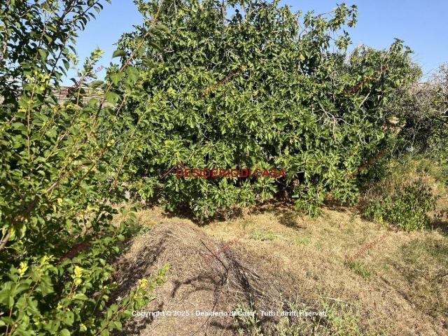 Terreno in vendita a Lascari, Sicilia