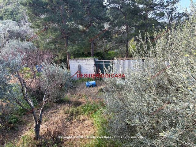 Terreno in vendita a Lascari, Sicilia