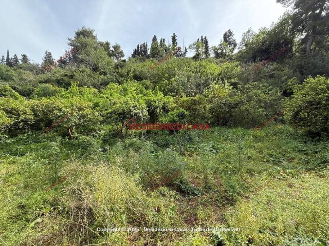 Terreno in vendita a Lascari, Sicilia