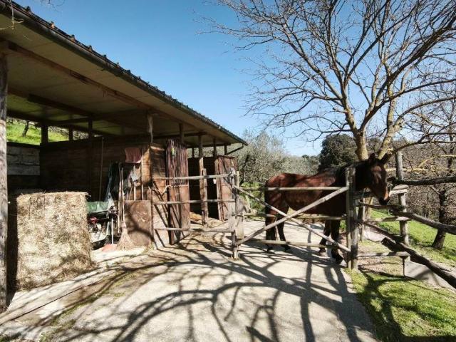 Terreno in vendita a Lastra A Signa, Toscana